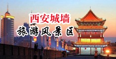 久操大黑吊网站中国陕西-西安城墙旅游风景区
