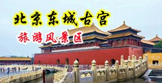 熟女乱伦AAA中国北京-东城古宫旅游风景区