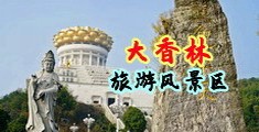 不穿黑丝肏屄中国浙江-绍兴大香林旅游风景区